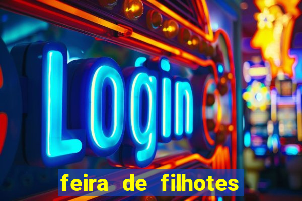 feira de filhotes porto alegre